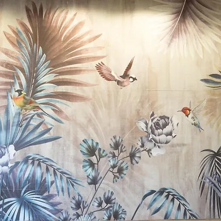 Capsule Premium Balnéo&home Cinema Valenciennes